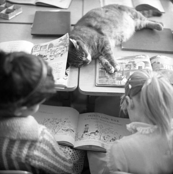 FEBRUARY: Valentine Street Day